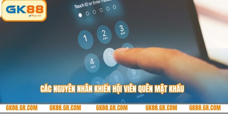 Các nguyên nhân khiến hội viên quên mật khẩu
